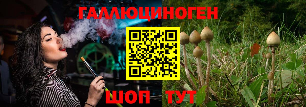 Галлюциногенные грибы Magic Shrooms Урюпинск