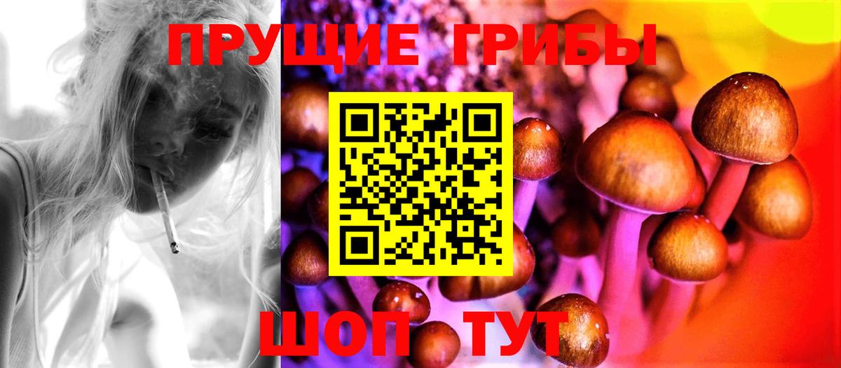 Урюпинск  Псилоцибиновые грибы Cubensis  Вход с VPN  Галлюциногенные грибы мухоморы 